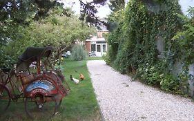 Achter het witte huis